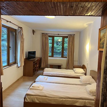 Ski Hotel Katerina Bansko Buitenkant foto