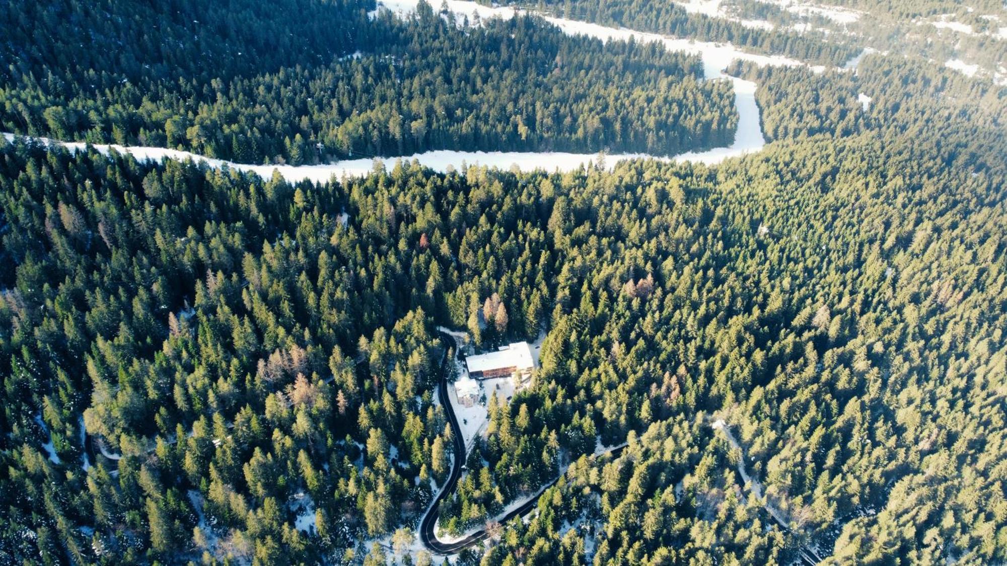 Ski Hotel Katerina Bansko Buitenkant foto