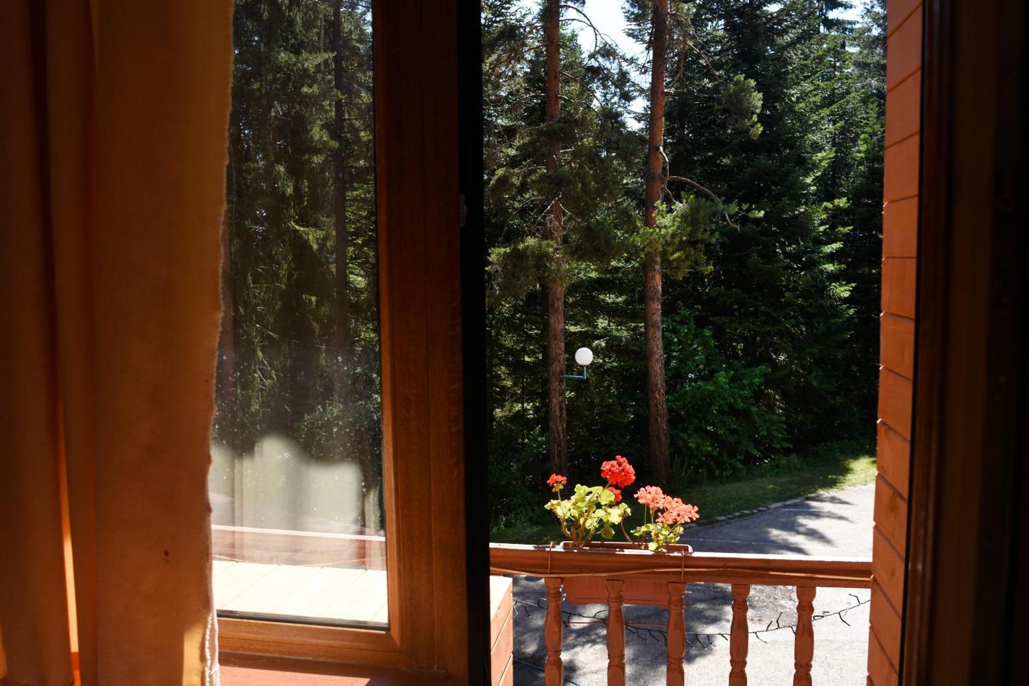 Ski Hotel Katerina Bansko Buitenkant foto